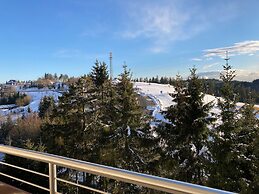 Apartment in Winterberg With Balcony