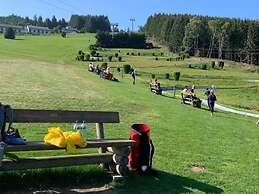 Holiday Home in Willingen With Garden