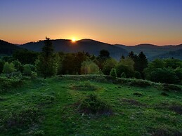 Holiday Home in Willingen With Garden