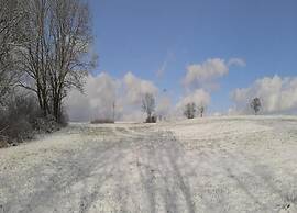 Forest Escape Near Ski Lift