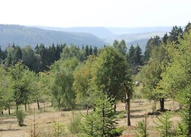 Holiday Home in Suhl by Thuringian Forest
