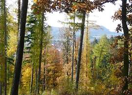 Wohnung Nahe Inselsberg Wanderwege