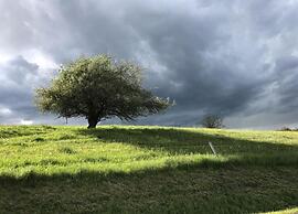 Wohnung Nahe Inselsberg Wanderwege