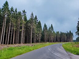 Forest Escape With Terrace