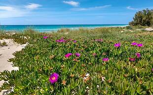 1542 Villetta Playa De Mar