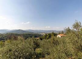 Monte House Umbria With Pool and Garden