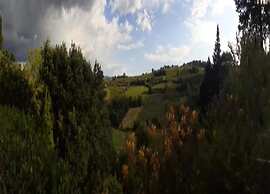 Charming Countryside Stay