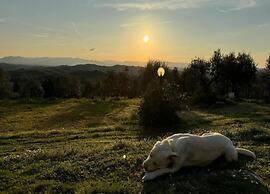 Charming Countryside Stay