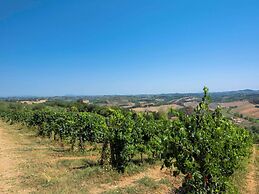 Farmhouse in Castelfiorentino With Pool