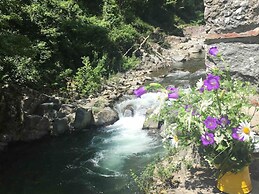 Charming Mill by Pescia River w/ Garden