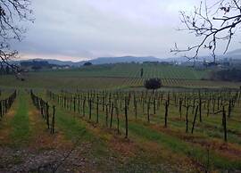 Apartment in Tuscany Near Florence