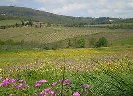 Apartment in Tuscany Near Florence