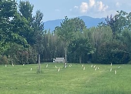 Apartment in Tuscany Near Florence
