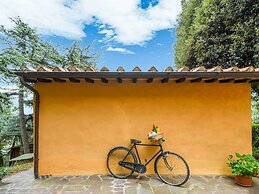 Cottage in Tuscany With Pool & Olive Groves