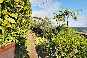 Stone House Villa With Spa in Cortona