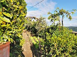 Stone House Villa With Spa in Cortona