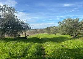 Peccioli Countryside Villa