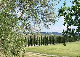 Apartment in Tuscany With Stunning Views