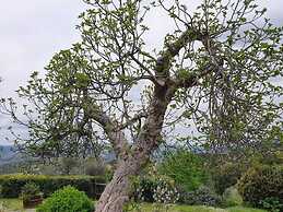 Tuscan Scenic View Stay