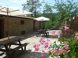 Apartment in Massa Marittima With Pools