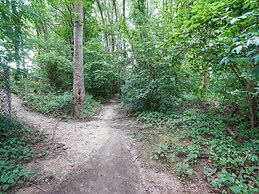 Stay With Garden, Limburg