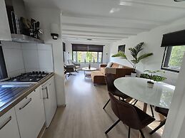 Home in the Dancing Forest