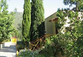 Pet-friendly Getaway