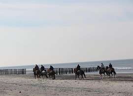 Studio in Domburg Near Beach and Golf