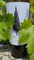 Finca Selah