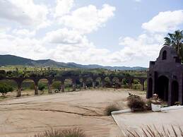 Finca Selah