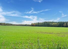 Tranquil Goirle Countryside Home