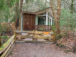 Forest House in Norg With Private Sauna