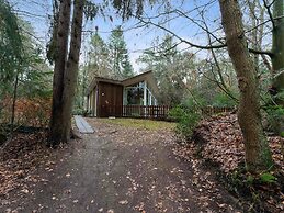 Forest House in Norg With Private Sauna