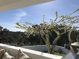Casa da Oliveira