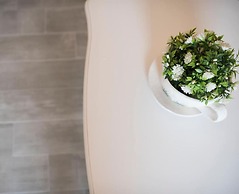 Rose Suites
