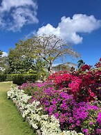 Catalina Tropical Lodge
