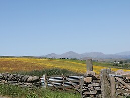 Oak