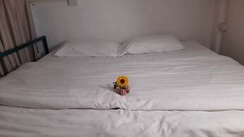 TT Hostel