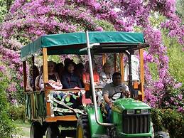 Tropical Magnolia Resort