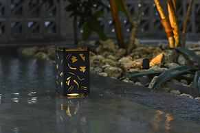 Meguru Ishigaki