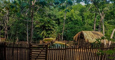 El Bosque Boutique Hotel