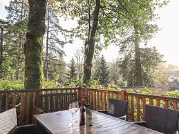Treetops