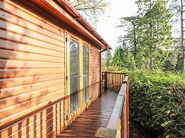 Treetops