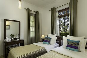 Olive Bungalow