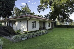 Olive Bungalow