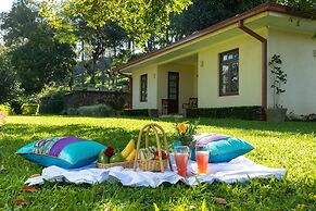 Olive Bungalow