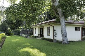 Olive Bungalow