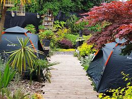 Tropical Garden Oasis