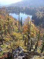 Pension Wiesengrund