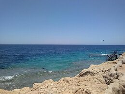 Grand Halomy resort